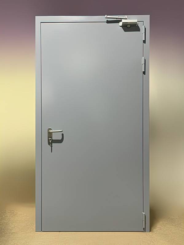 Глухая дверь с доводчиком Глухая дверь с доводчиком