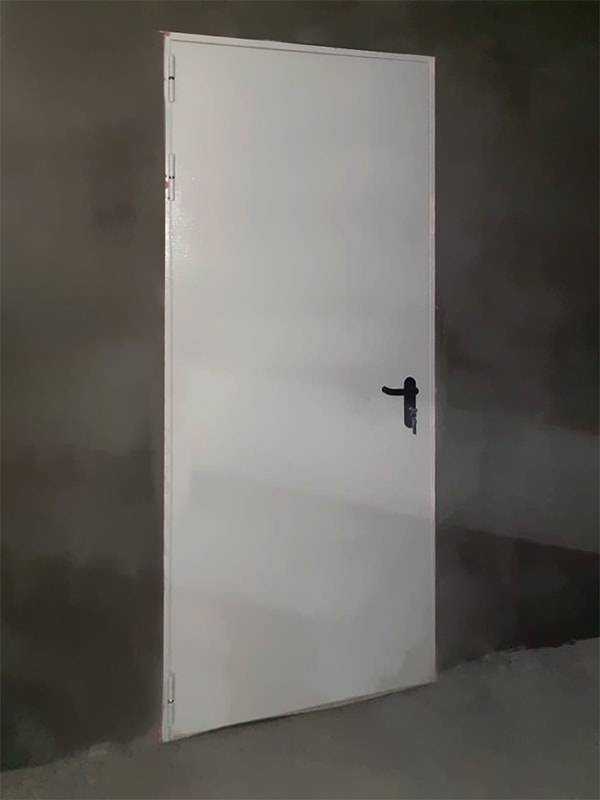 Однопольная дверь (парк Патриот) Однопольная дверь (парк Патриот)