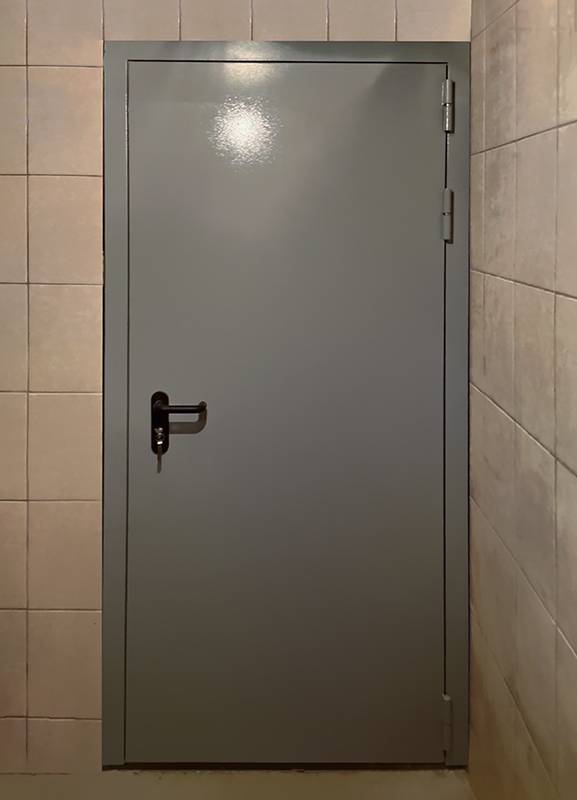 Одностворчатая глухая дверь Одностворчатая глухая дверь