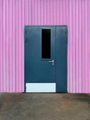 Огнезащитная дверь с остеклением (Новодмитровская школа) Огнезащитная дверь с остеклением (Новодмитровская школа)