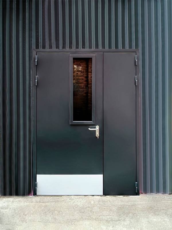 Остекленная дверь с двумя створками (Новодмитровская школа) Остекленная дверь с двумя створками (Новодмитровская школа)