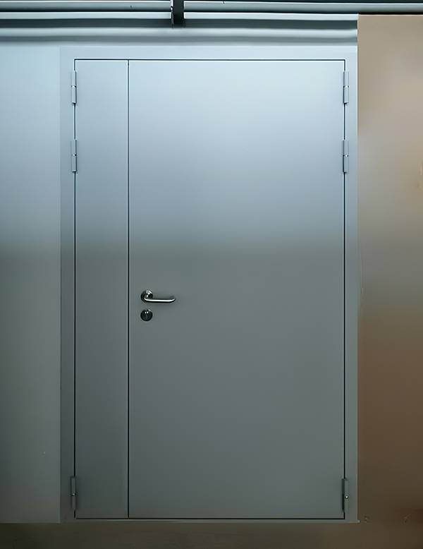 Полуторная дверь, вид спереди (ММП им. В. В. Чернышёва) Полуторная дверь, вид спереди (ММП им. В. В. Чернышёва)