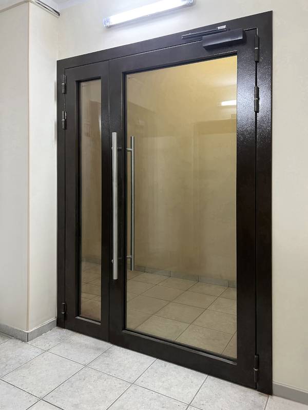 Светопрозрачная стальная дверь Светопрозрачная стальная дверь